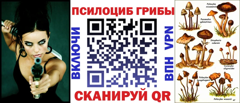 наркота  Светогорск  Галлюциногенные грибы прущие грибы 